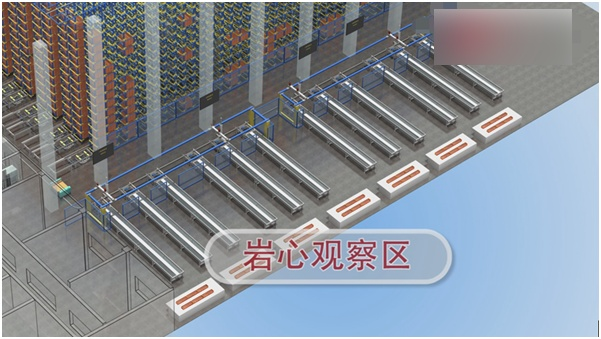 岩芯样品观察区